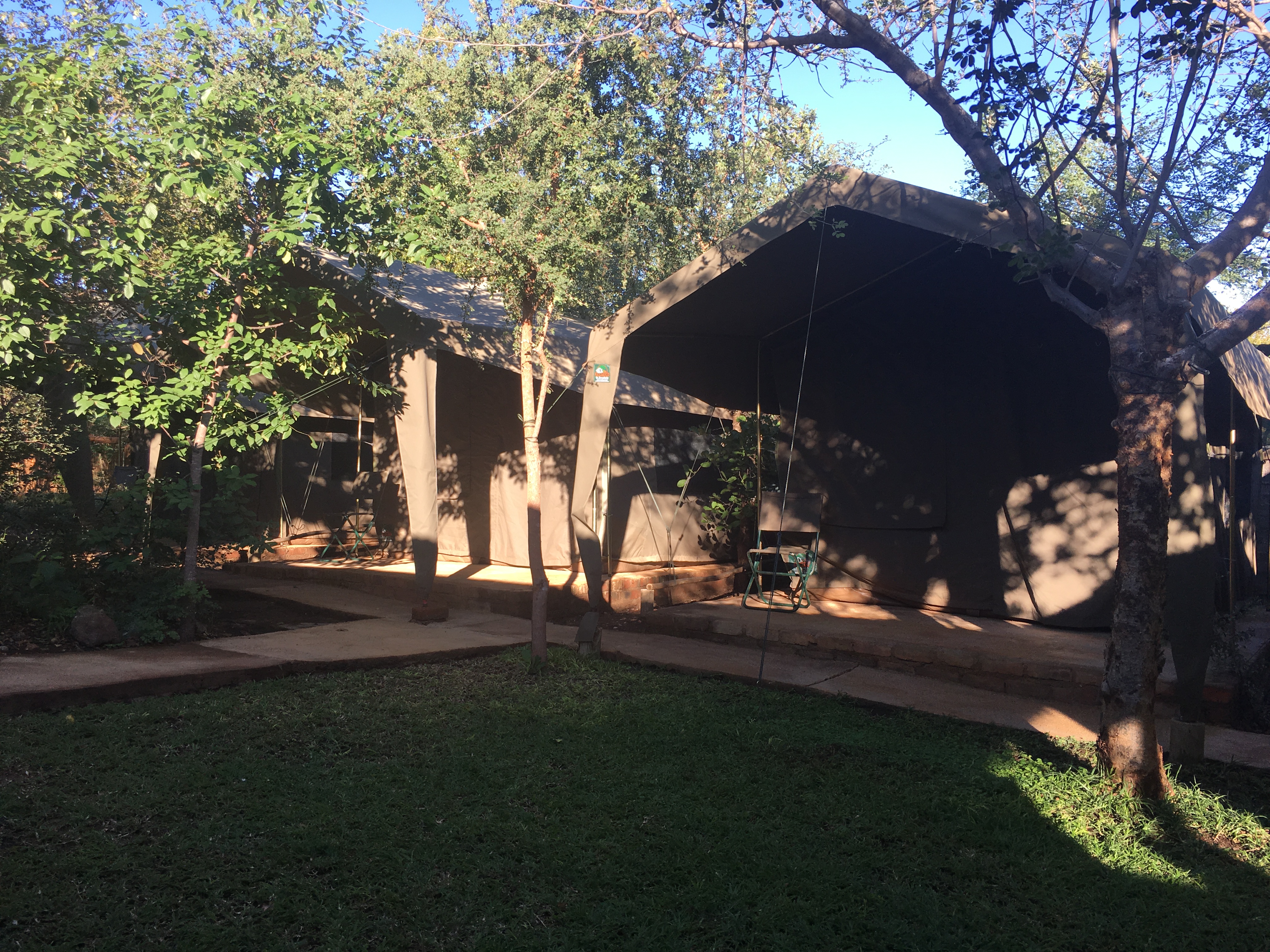 Safari Zelte der Volunteers bei diesem Afrika Freiwillingenprojekt in Südafrikas Krüger Park